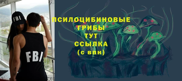 герыч Вяземский