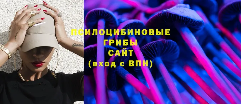 цена   дарк нет состав  Псилоцибиновые грибы Cubensis  Корсаков 